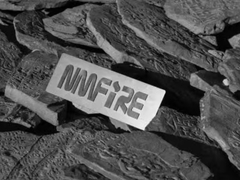 Des consultants du Japon et de l'Indonésie visitent le NMFIRE