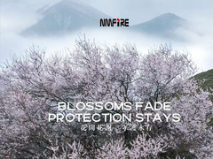 DE NMFIRE LE FEU PAS PLUS